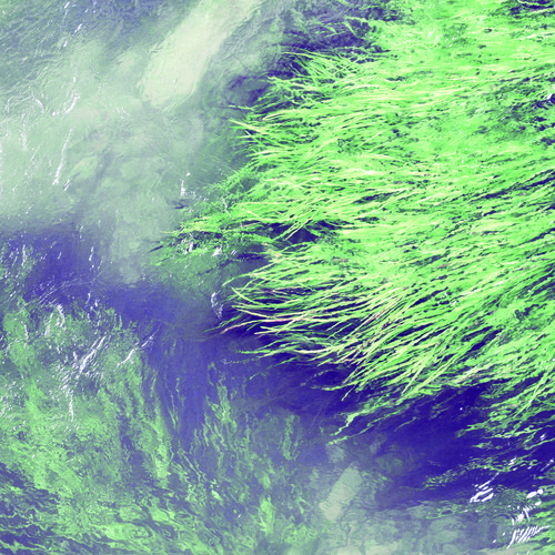 tumblr_mh92fgk3OR1qbgdqp_1359232397_cover