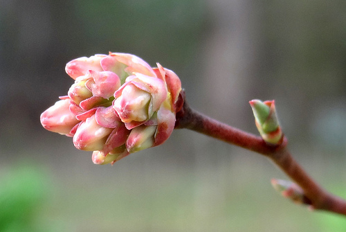 6937938721_4fd8f3aae4